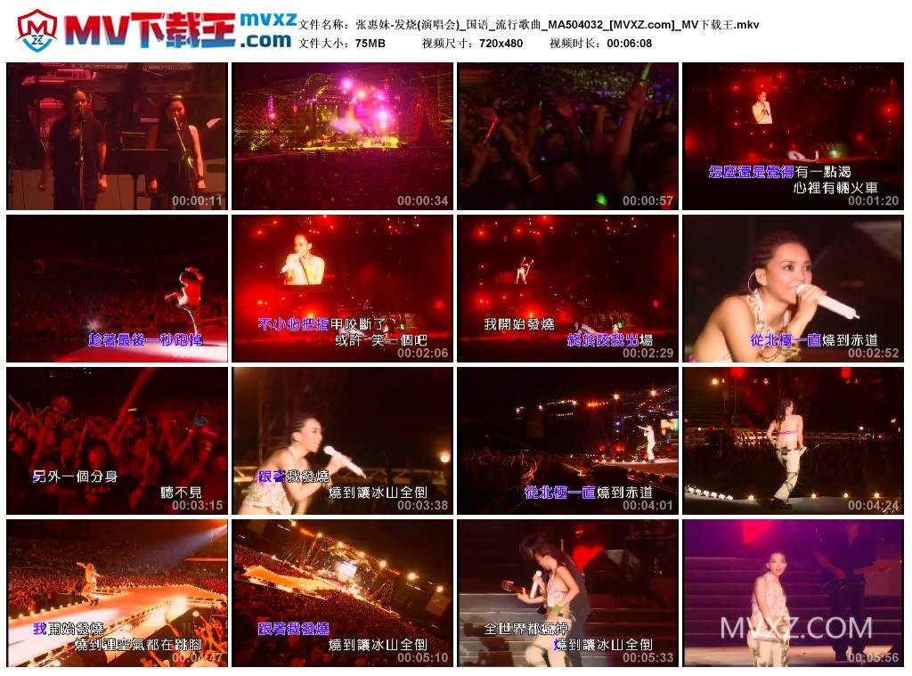 张惠妹-发烧(演唱会)_国语_流行歌曲_MA504032